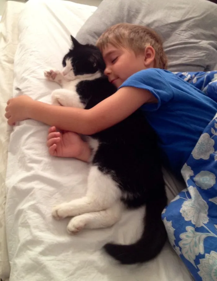 179 Heartwarming Photos Of Kids Playing With Their Cats