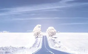 365 Days In Infrared: A Photography Project By Kate Davies
