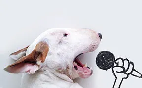 Dog Owner Creates Fun Illustrations With His Bull Terrier