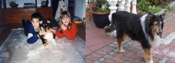 Sherry - 16 Years Apart