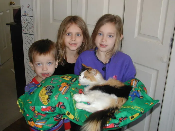 179 Heartwarming Photos Of Kids Playing With Their Cats