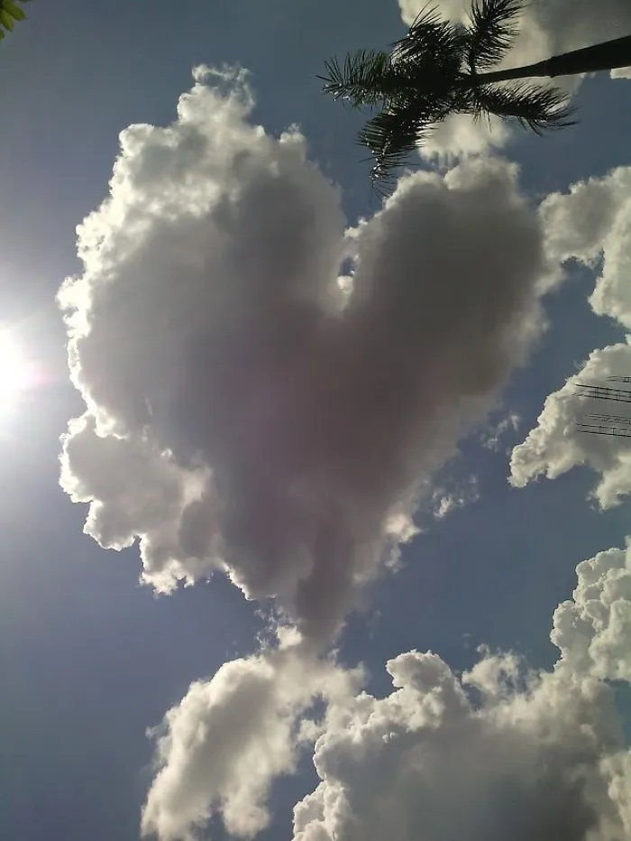 Big Love