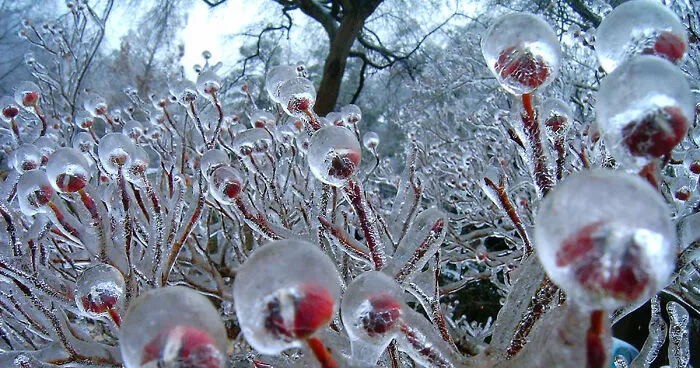 30 Beautiful Ice And Snow Formations That Look Like Art