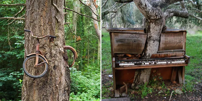 21 Photos Of Nature Winning The Battle Against Civilization
