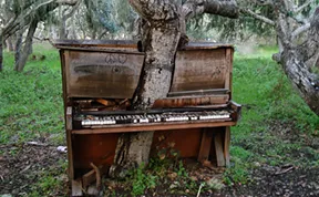 21 Photos Of Nature Winning The Battle Against Civilization