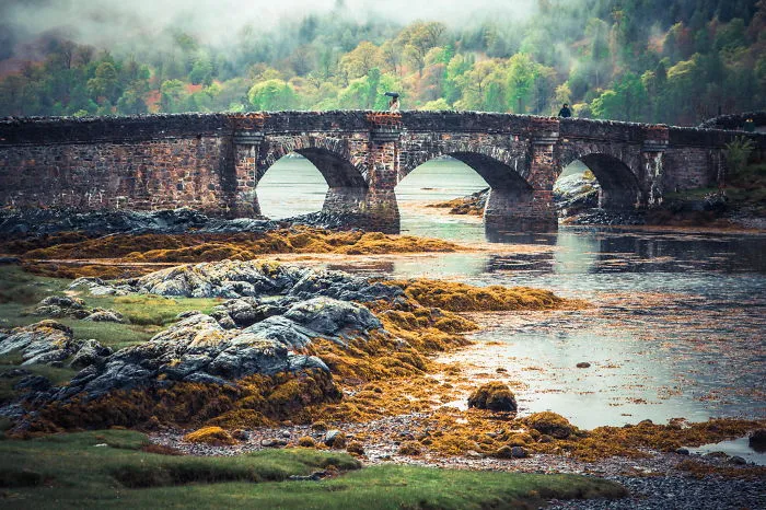 Ancient mystical stone bridge surrounded by fog and lush forest, crossing a calm river with rocky and mossy banks.