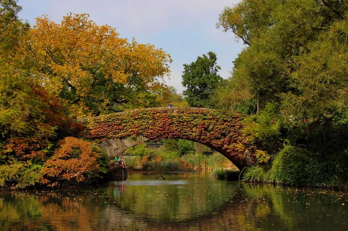 Gapstow Bridge, New York, USA