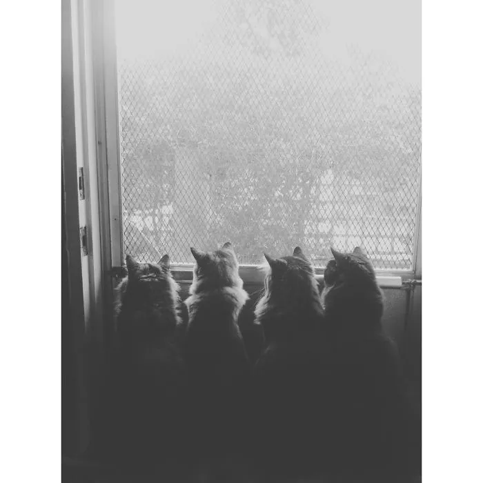 Waiting
