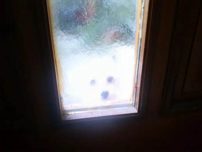 Let Me In