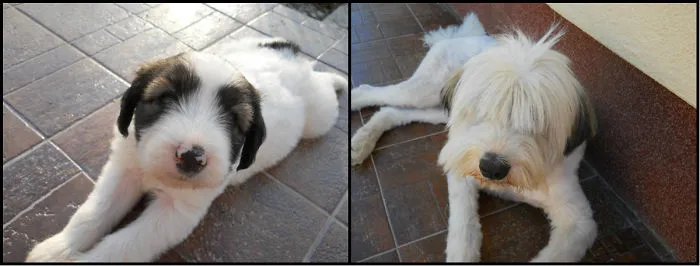 Puky - 2 Years Apart