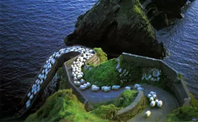 25 Photos Of Sheep Blanketing The Earth Like Snow