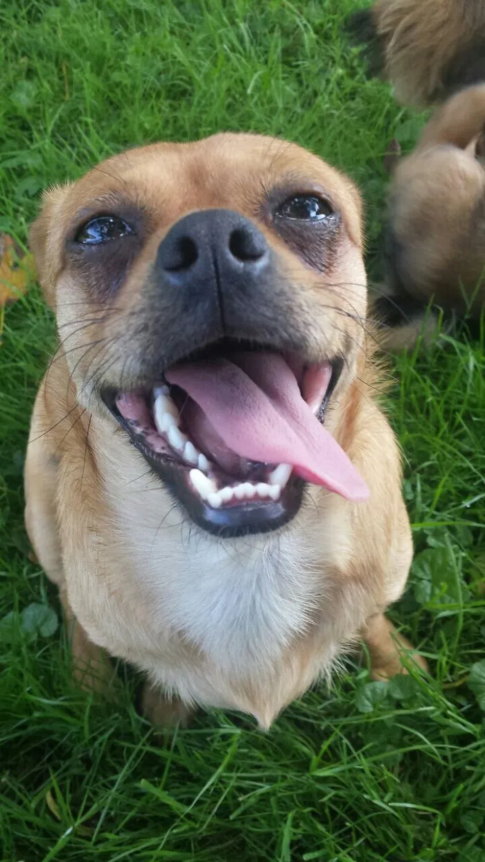 Athena Smiling