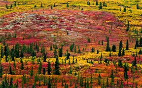 These 203 Beautiful Autumn Photos Will Inspire You To Grab Your Camera