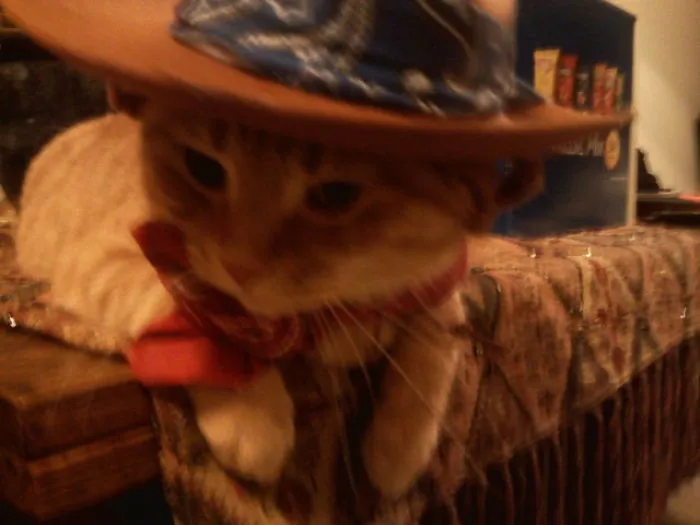Cowboy Cliff
