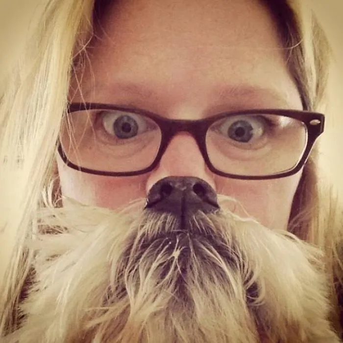 Bearded Lady