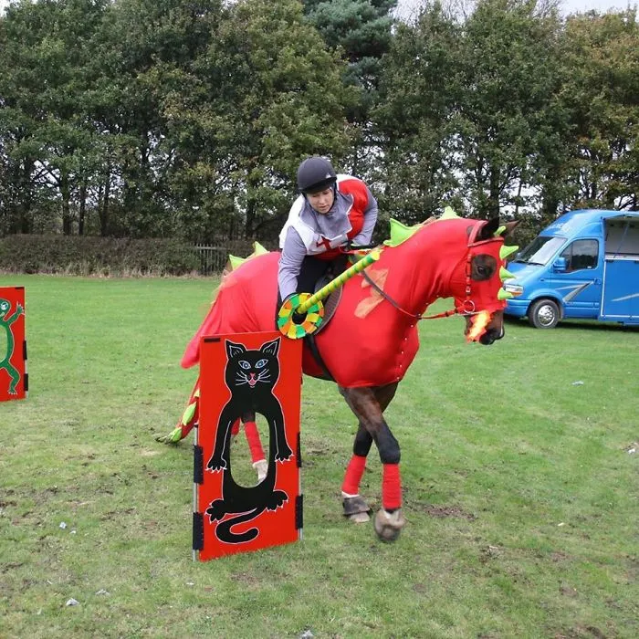 Dragon Horse