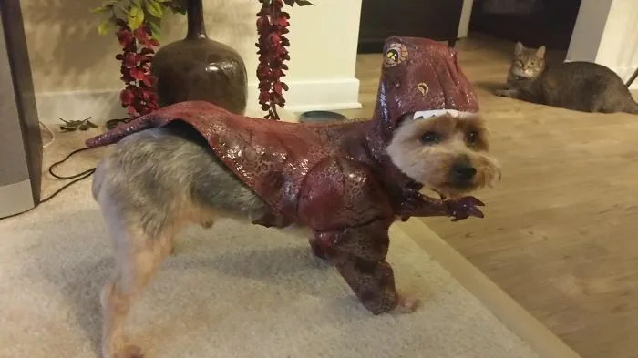 T-rex Dog