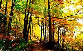 Rattlesnake Point, Ontario