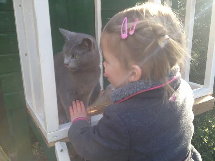 179 Heartwarming Photos Of Kids Playing With Their Cats