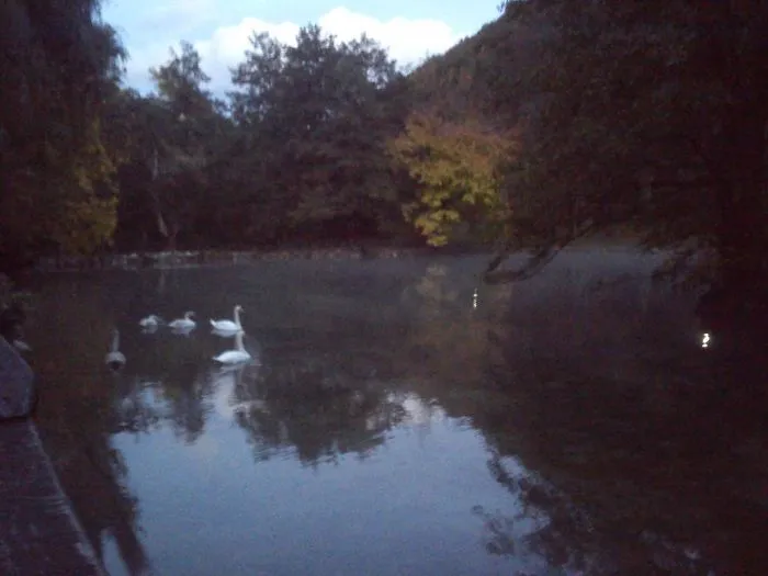 Vrelobosne