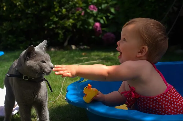 179 Heartwarming Photos Of Kids Playing With Their Cats