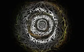 Circles