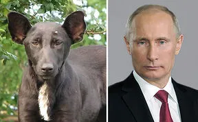 133 Things That Are Hilariously Similar To Each Other