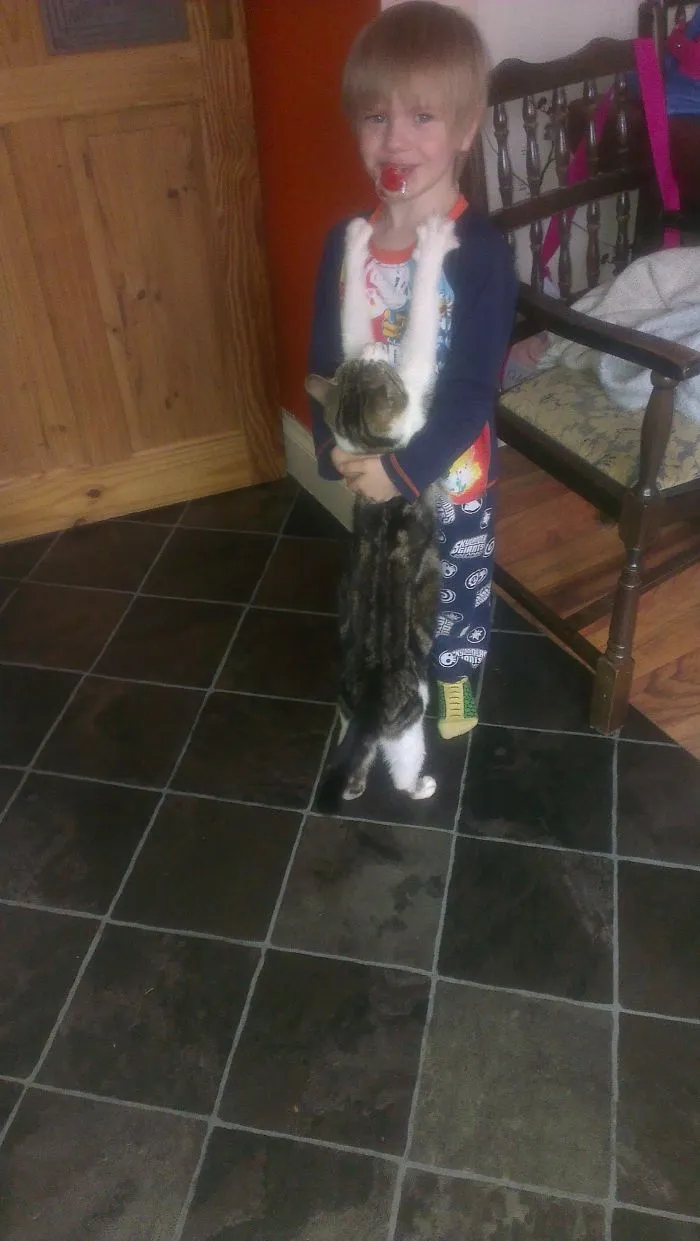 179 Heartwarming Photos Of Kids Playing With Their Cats