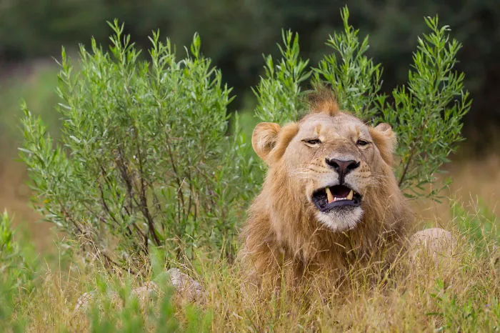 Two Unforgettable Weeks Of Photography In Botswana.