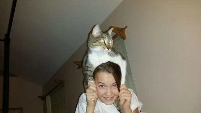 179 Heartwarming Photos Of Kids Playing With Their Cats