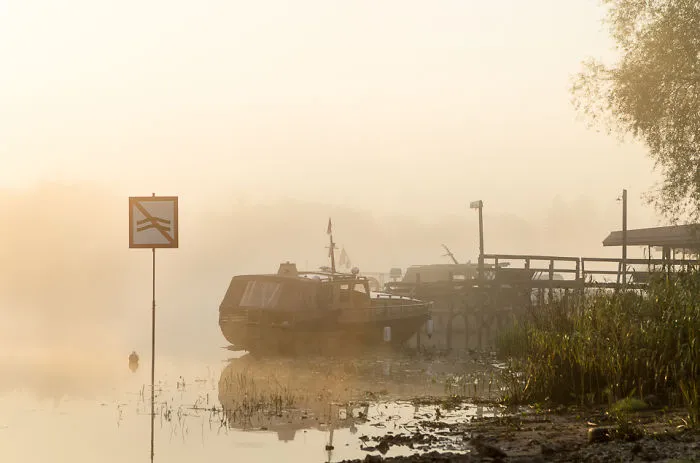 Morning On The River
