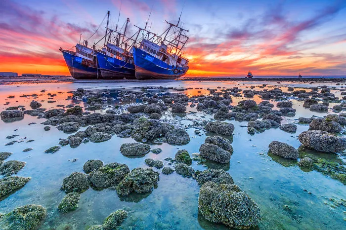 Byah Bassi Zubeidi , Abandoned Shipwrecked