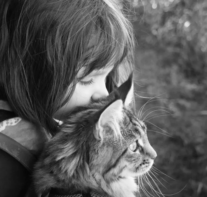 179 Heartwarming Photos Of Kids Playing With Their Cats