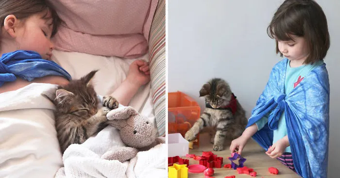 Heartwarming Friendship Of A 5-Year-Old Girl With Autism And Her Therapy Cat