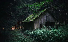 131 Little Lonely Houses For The Solitary Soul