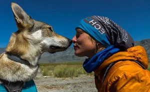 Going For A Travel? Take Your Dog With You.You Won't Regret It!