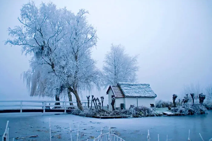Winter Wonderland