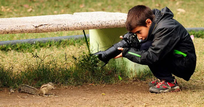 9 Year-Old Spanish Boy Becomes Young Wildlife Photographer Of The Year