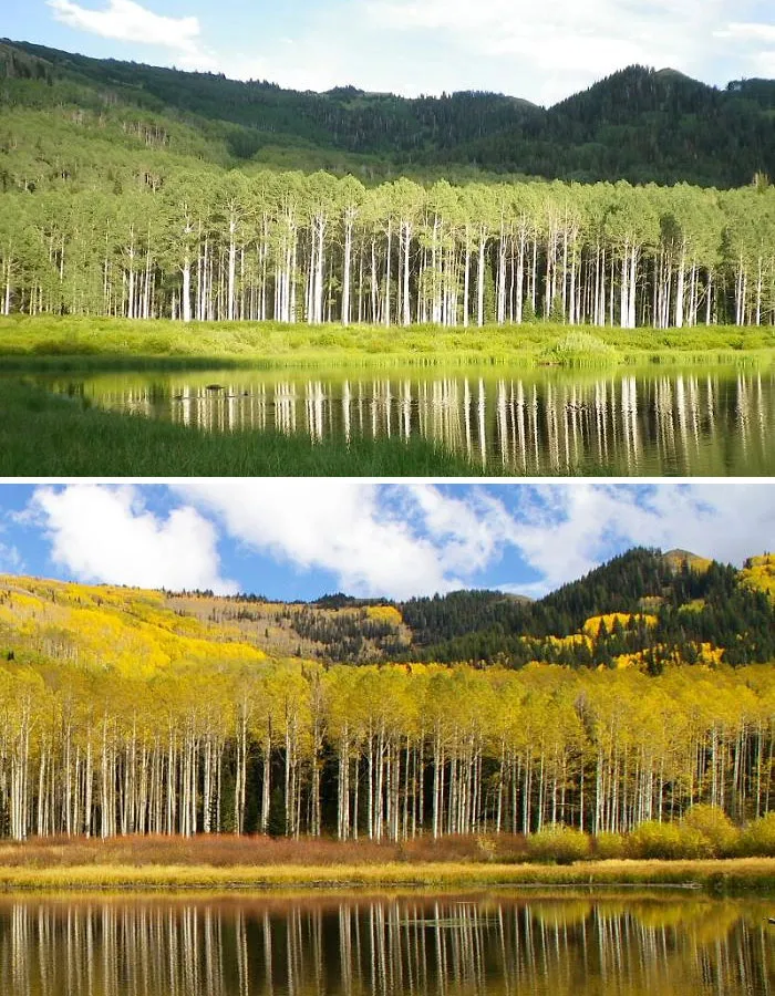 Willow Lake, Big Cottonwood Canyon, Utah