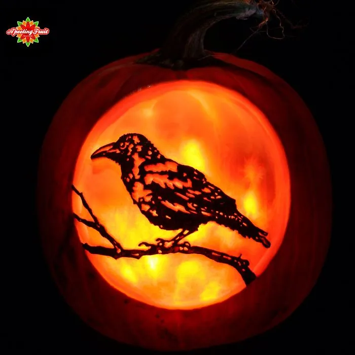 Harvest Moon With Perched Crow