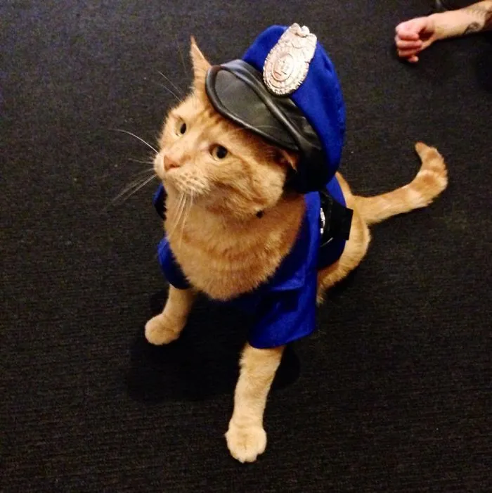 Alan As A Policeman