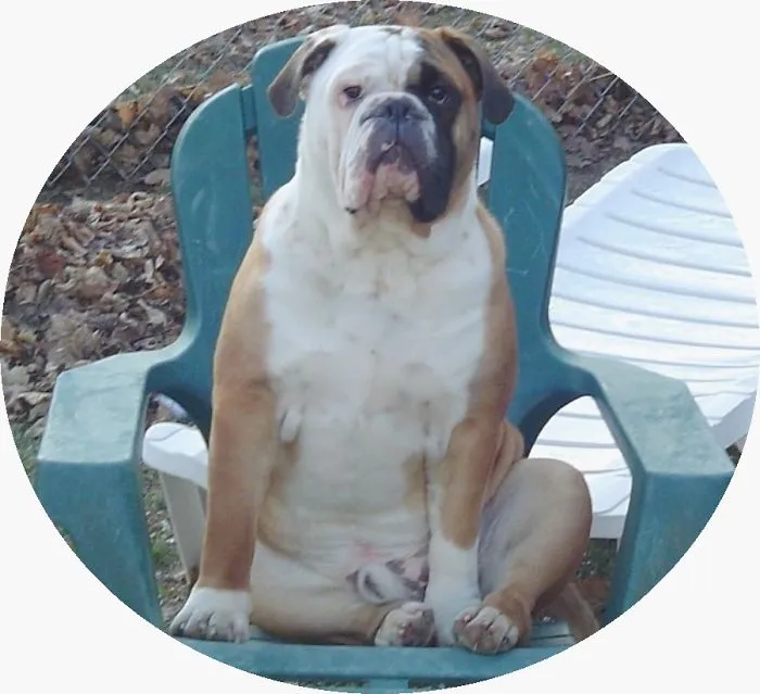 Amosmoses At 10 Months!