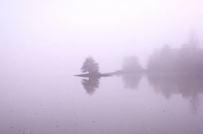 Foggy Morning In Folsom