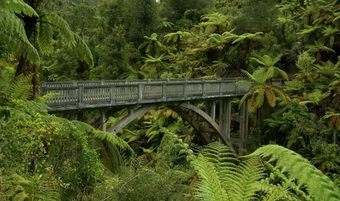 Mystical stone arch bridge surrounded by dense green ferns and trees in a lush forest setting.