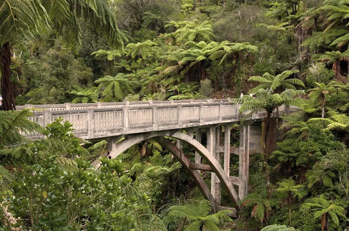Concrete mystical bridge surrounded by lush green tropical plants and trees in a dense forest setting