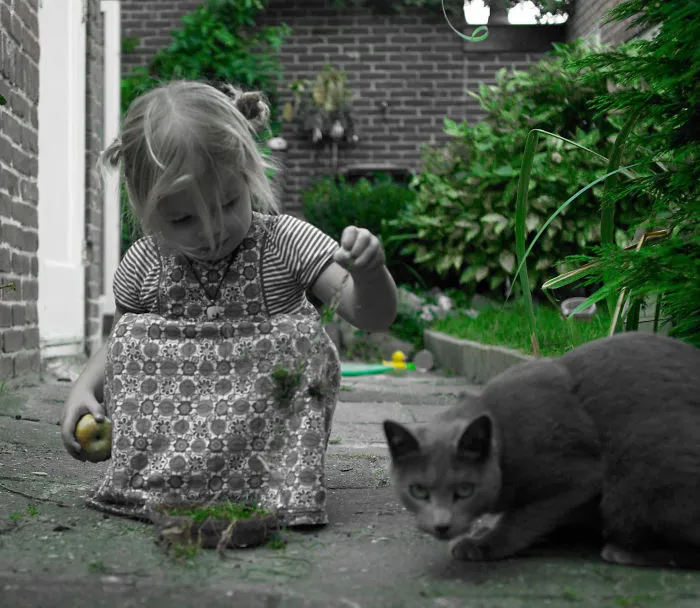 179 Heartwarming Photos Of Kids Playing With Their Cats
