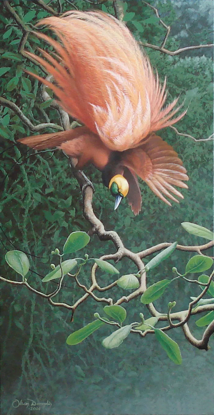 Bird Of Paradise