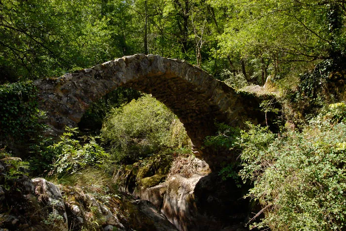Ancient mystical stone bridge surrounded by lush greenery, creating a magical pathway in a serene natural forest setting.