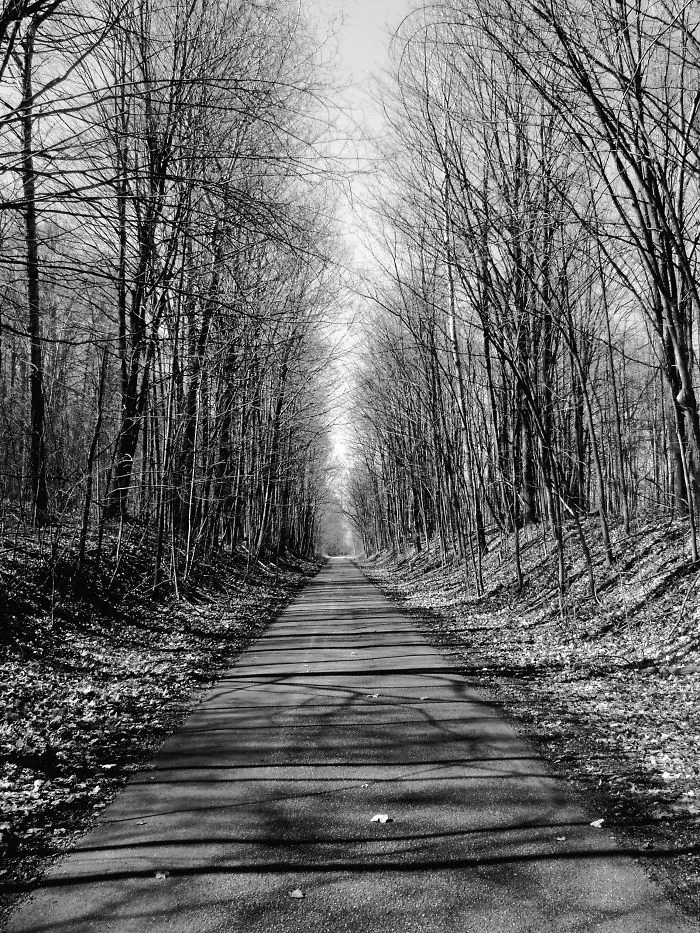 Soul Road. Michigan