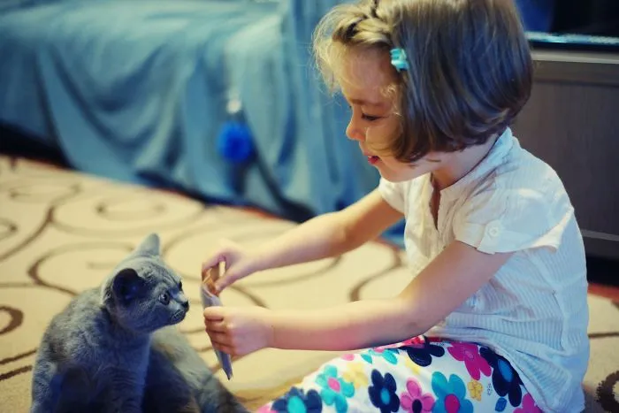 179 Heartwarming Photos Of Kids Playing With Their Cats